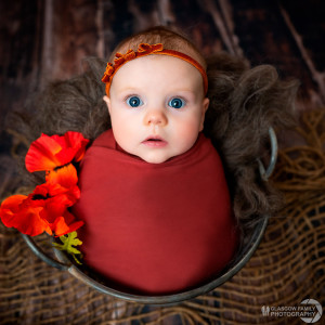 glasgow newborn photography sarah rose red flowers